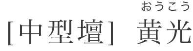 [中型壇] 黄光(おうこう)