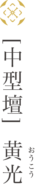 [中型壇] 黄光(おうこう)